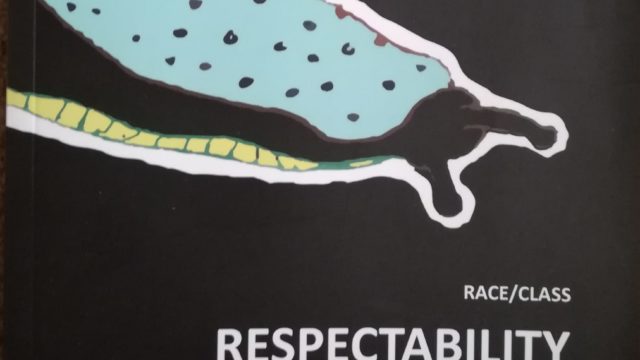 Dysphoria Zine Respectability: race/class